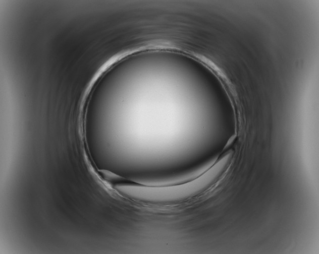 X0000083601342200703091733