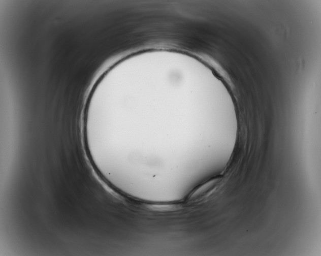 X0000083601343200703091733