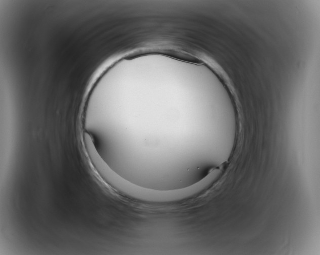 X0000083601344200703091733