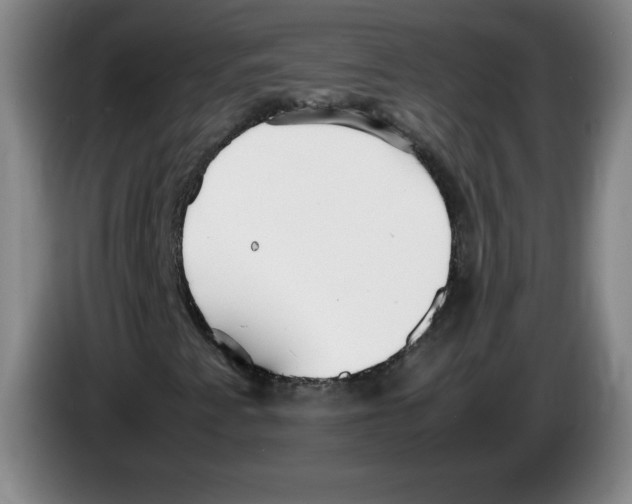 X0000083601345200703091733