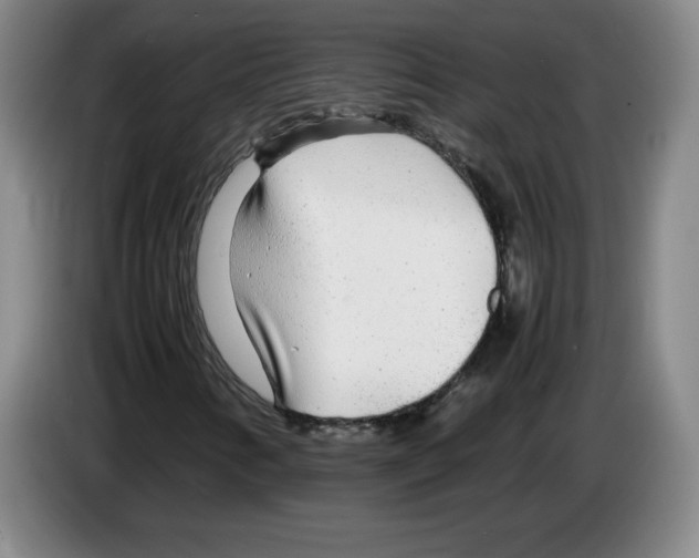 X0000083601346200703091732