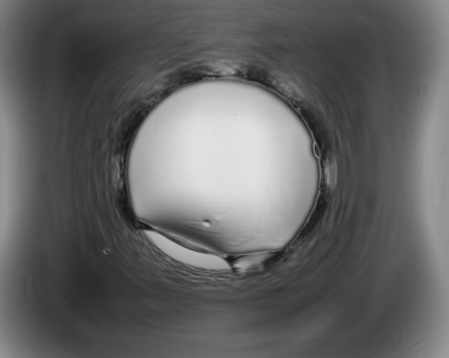 X0000083601347200703091732