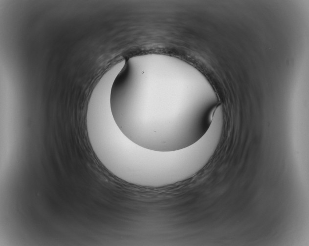 X0000083601348200703091732