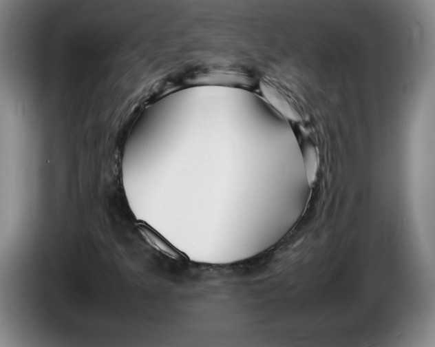 X0000083601349200703091732