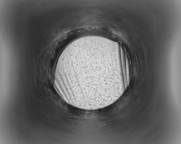 X0000083601350200703091732