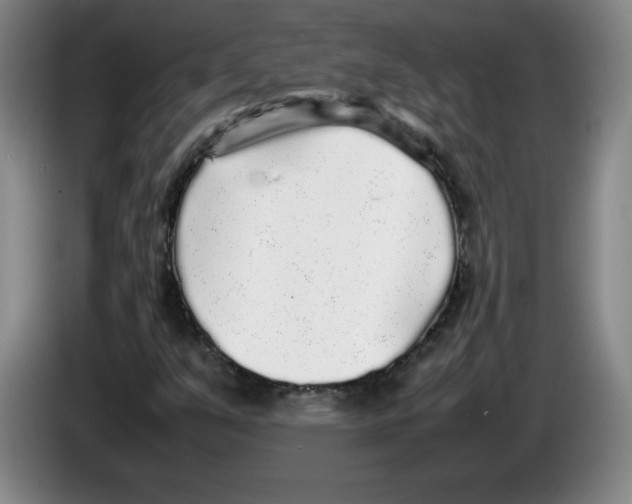 X0000083601351200703091732