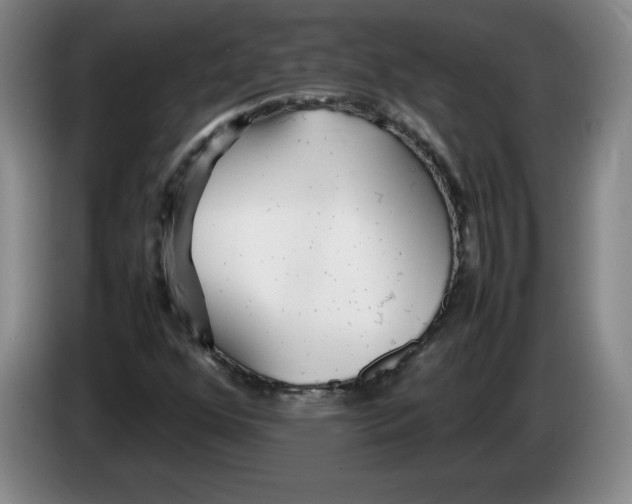 X0000083601352200703091732