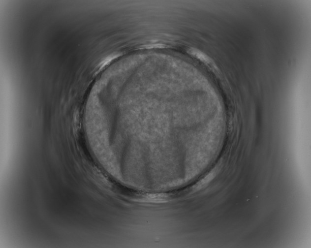 X0000083601353200703091732