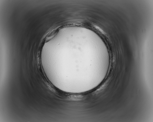 X0000083601354200703091732