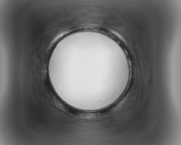 X0000083601355200703091732