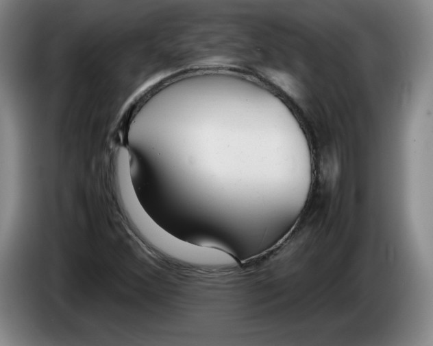 X0000083601356200703091732