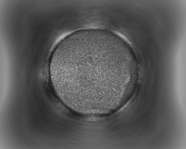 X0000083601358200703091732