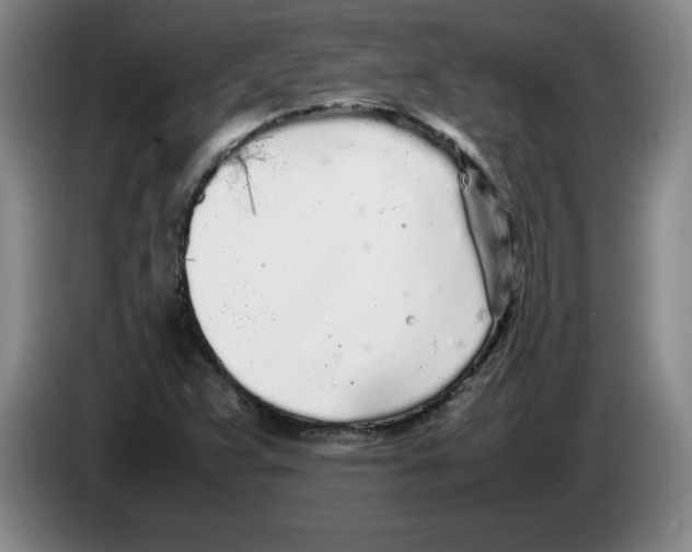 X0000083601359200703091732