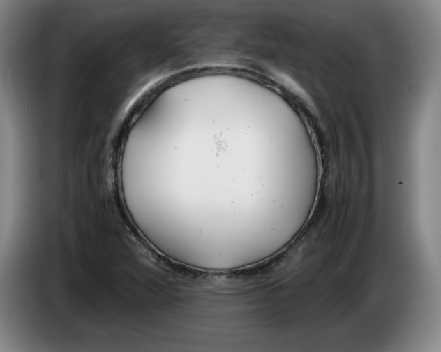 X0000083601360200703091732