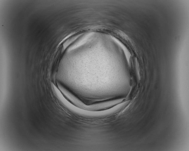 X0000083601361200703091732