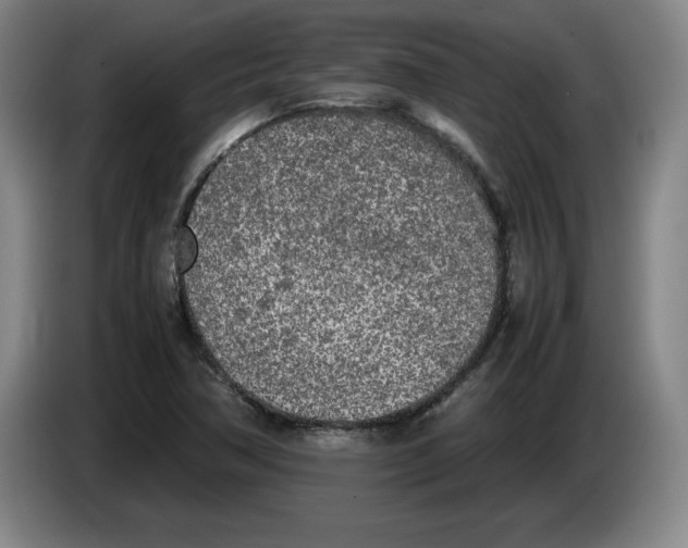 X0000083601362200703091732