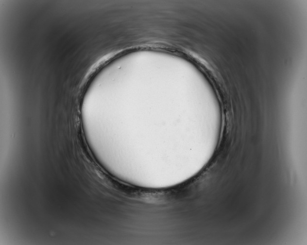 X0000083601363200703091732