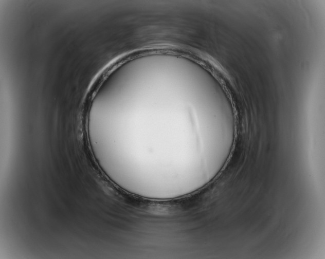 X0000083601364200703091732