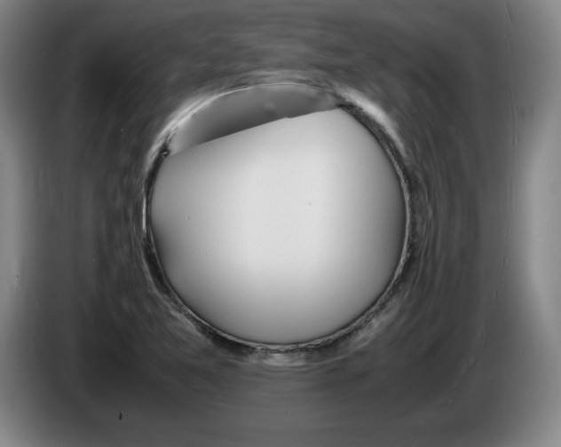 X0000083601365200703091732