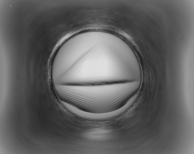 X0000083601366200703091732