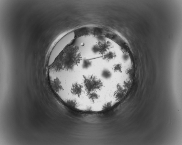 X0000083601367200703091732