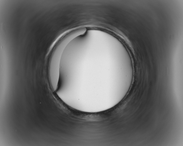 X0000083601368200703091732