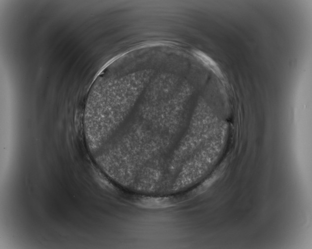 X0000083601369200703091732