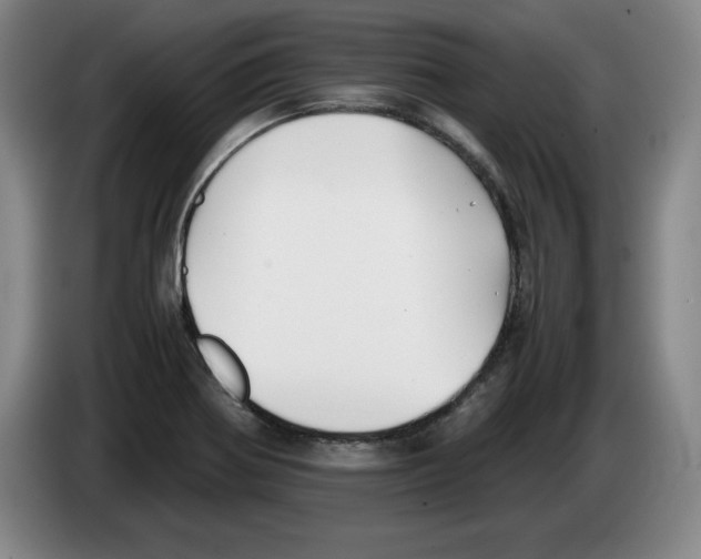 X0000083601370200703091732