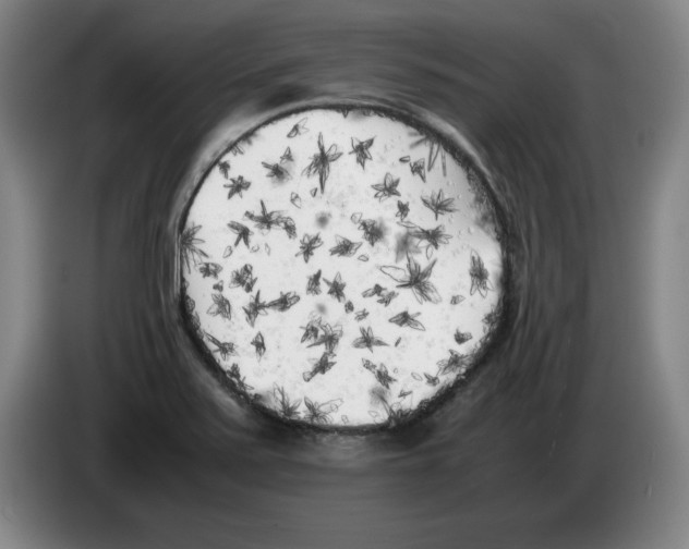 X0000083601371200703091732