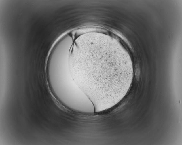 X0000083601372200703091732