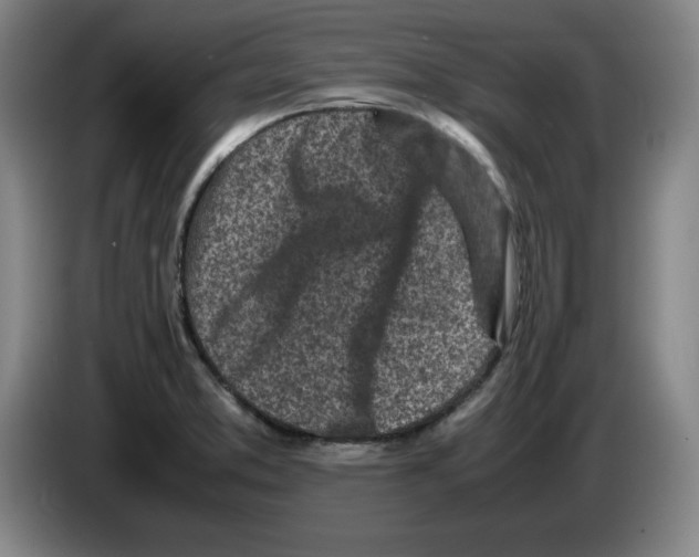 X0000083601373200703091732