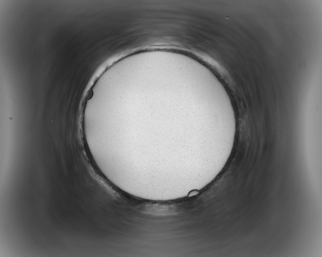 X0000083601374200703091732