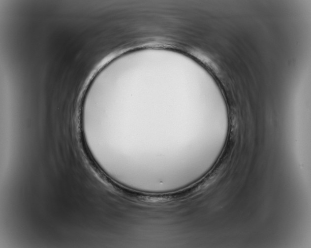 X0000083601375200703091732