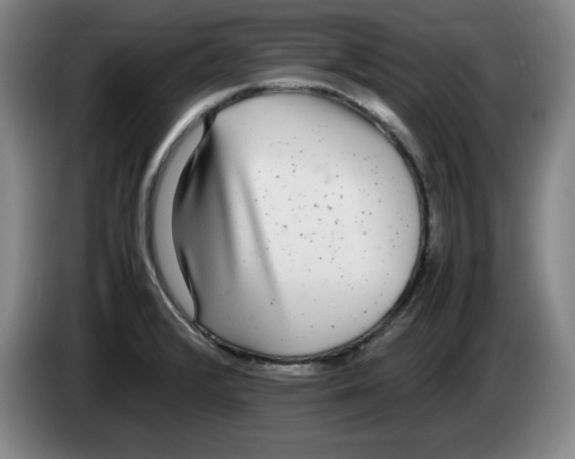 X0000083601376200703091732