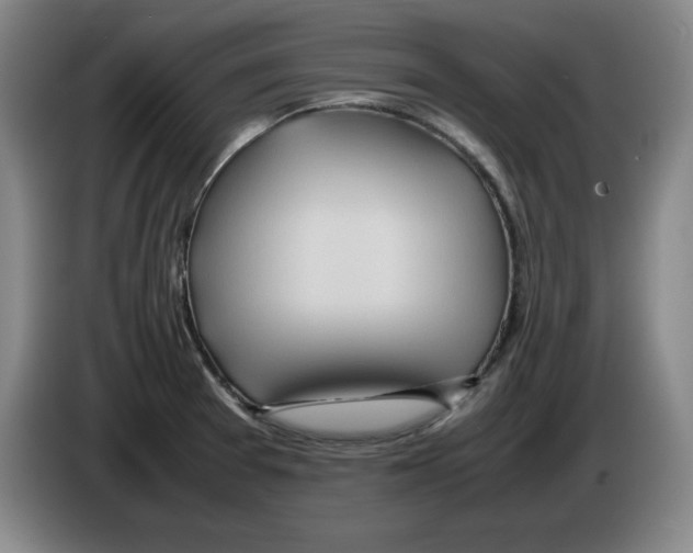 X0000083601377200703091732