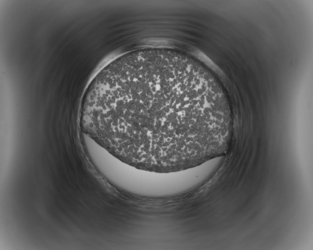 X0000083601378200703091732