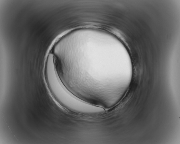 X0000083601379200703091732