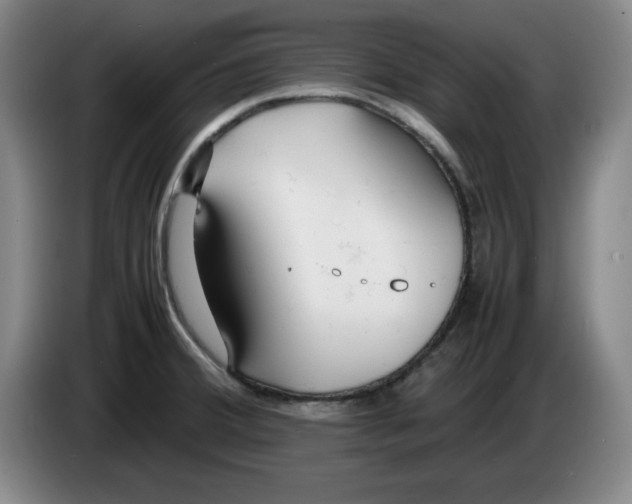 X0000083601380200703091732