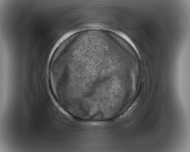 X0000083601381200703091732