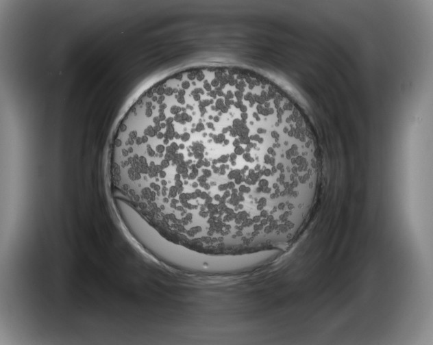 X0000083601382200703091732