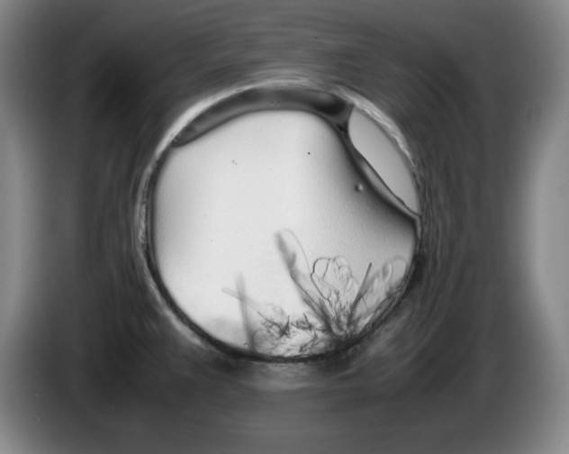 X0000083601383200703091732