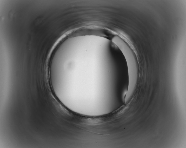 X0000083601384200703091732