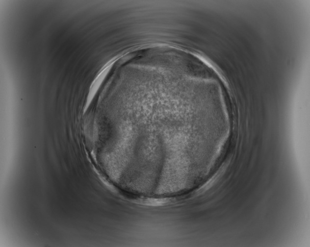 X0000083601385200703091732