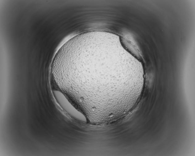 X0000083601386200703091732