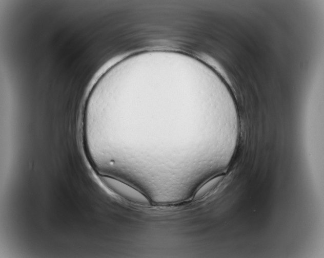 X0000083601387200703091732