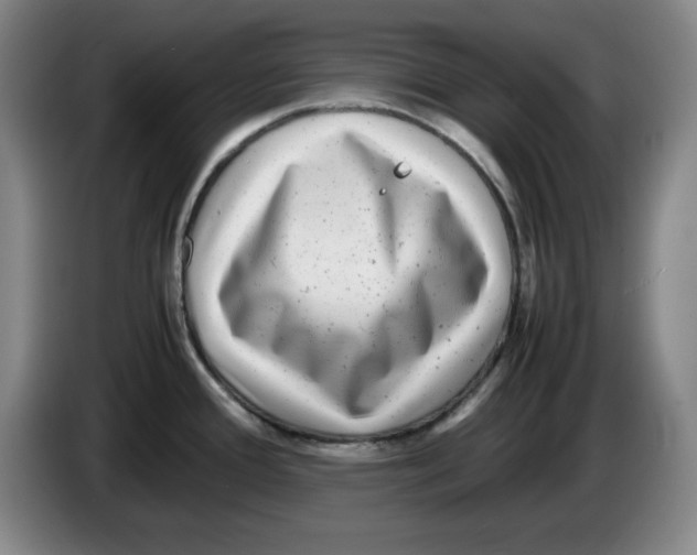 X0000083601388200703091732