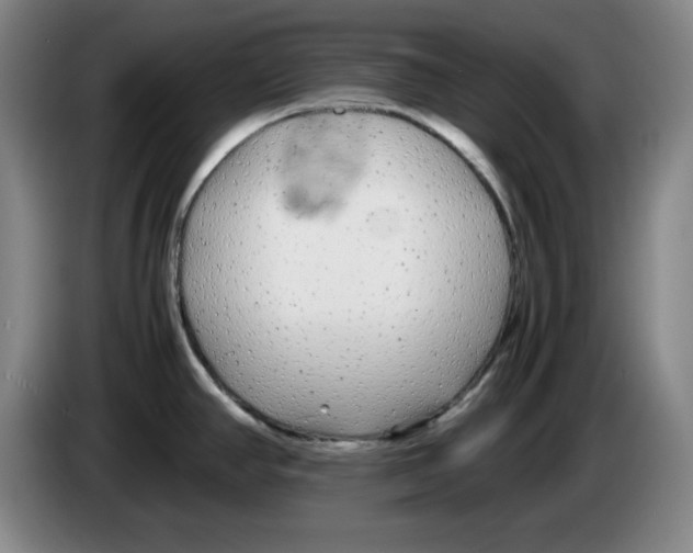 X0000083601390200703091732