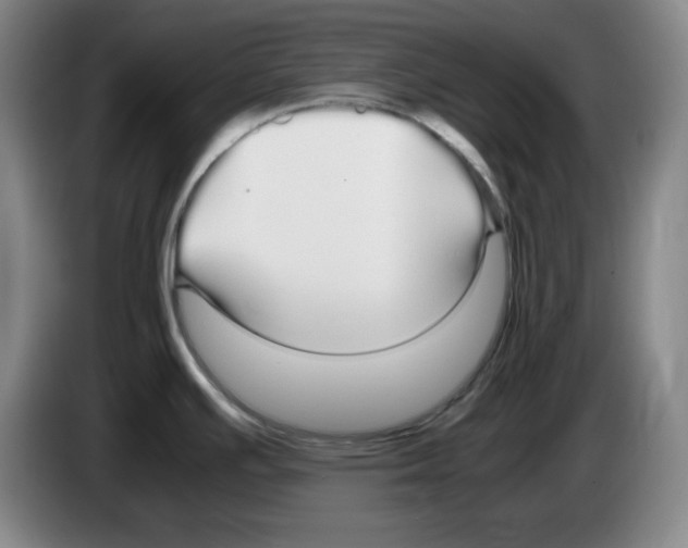 X0000083601391200703091732