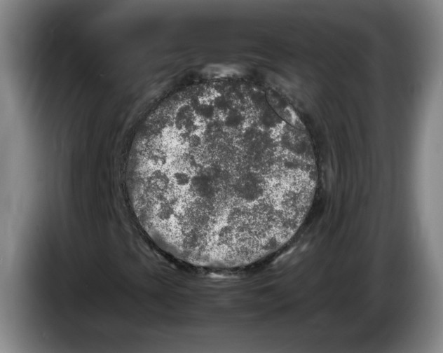 X0000083601393200703091731