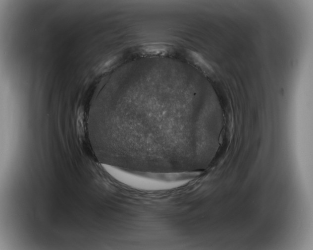 X0000083601394200703091731